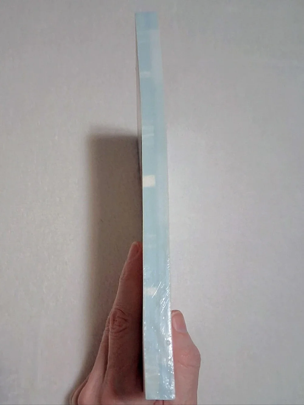 Cinnamoroll (A5 Size) Tear Out Note Pad